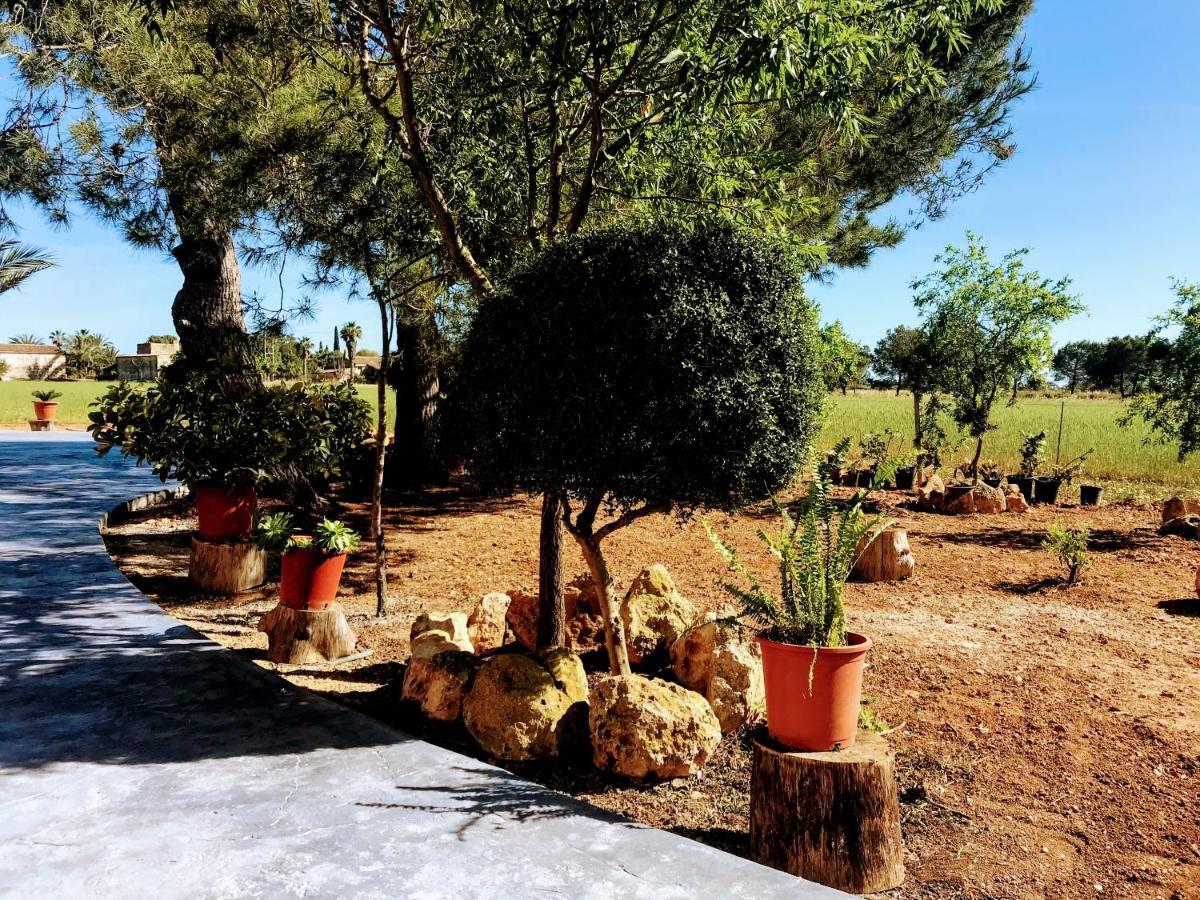 Ca Na Brila Villa Campos  Buitenkant foto